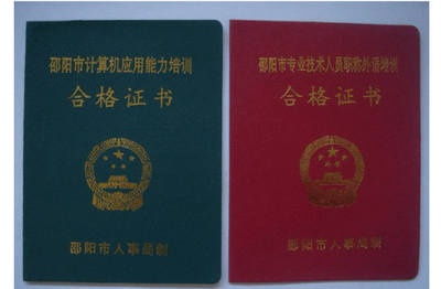 全国计算机等级证书能代替职称计算机考试证书吗?