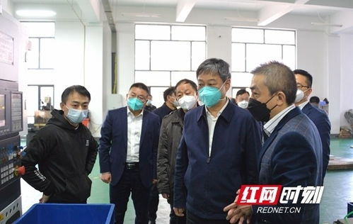 严华在邵阳经济技术开发区调研工业企业发展情况