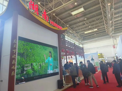 链 出创新发展 湘 遇首届中国国际供应链促进博览会