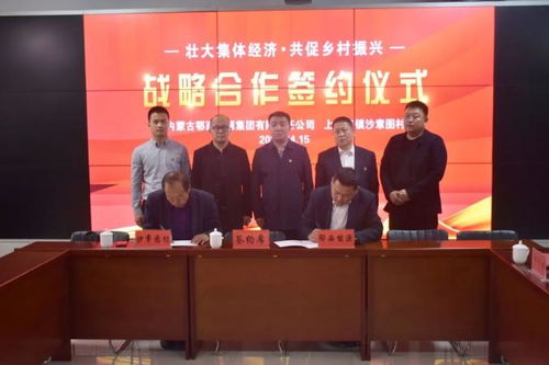 鄂西能源集团与上海庙镇沙章图村开展 壮大集体经济 共促乡村振兴 战略合作签约仪式