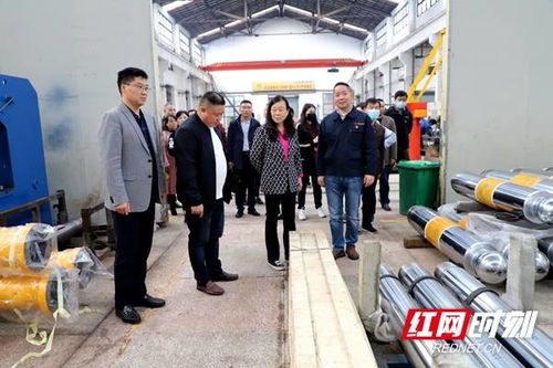 科技创新为邵阳双清区高质量发展添翼 人才驱动释放区域新活力